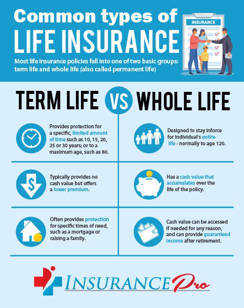 Understanding the Differences Between Term and Whole Life Insurance