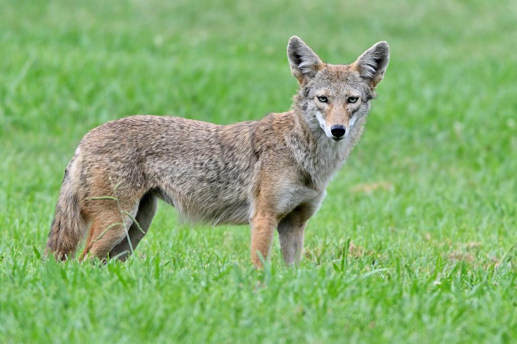 Identifying Critical Moments in Your Insurance Claim Dispute