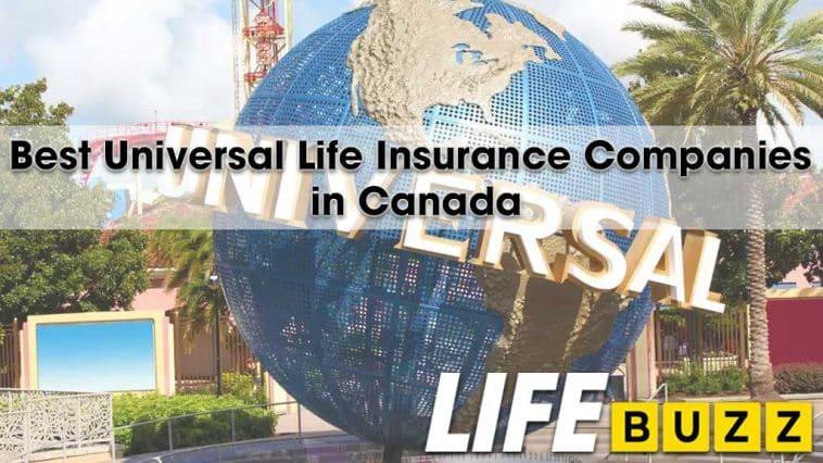 Expert Picks Top Insurance Products and Providers for Financial Peace