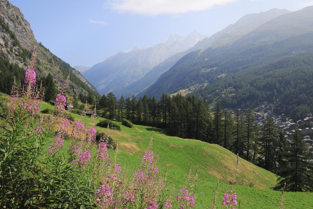best travel insurance for high altitude trekking and mountaineering