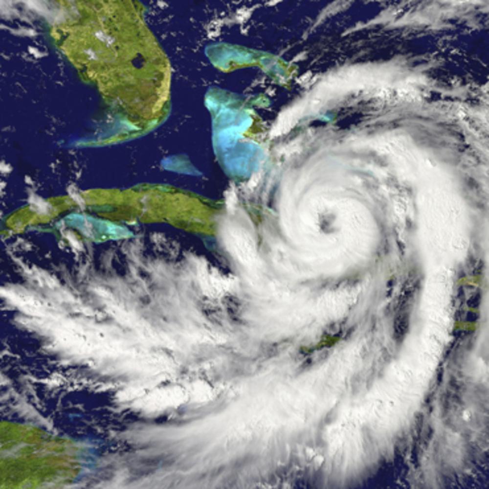 What Happens After You File a Claim for Windstorm Damage