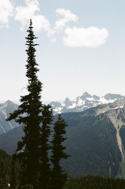 Understanding Eco-Friendly Travel Insurance Options