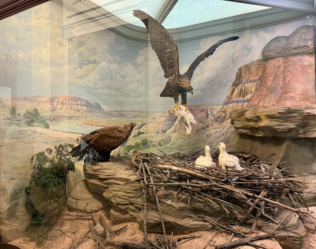 The Top Myths About Travel Insurance Debunked