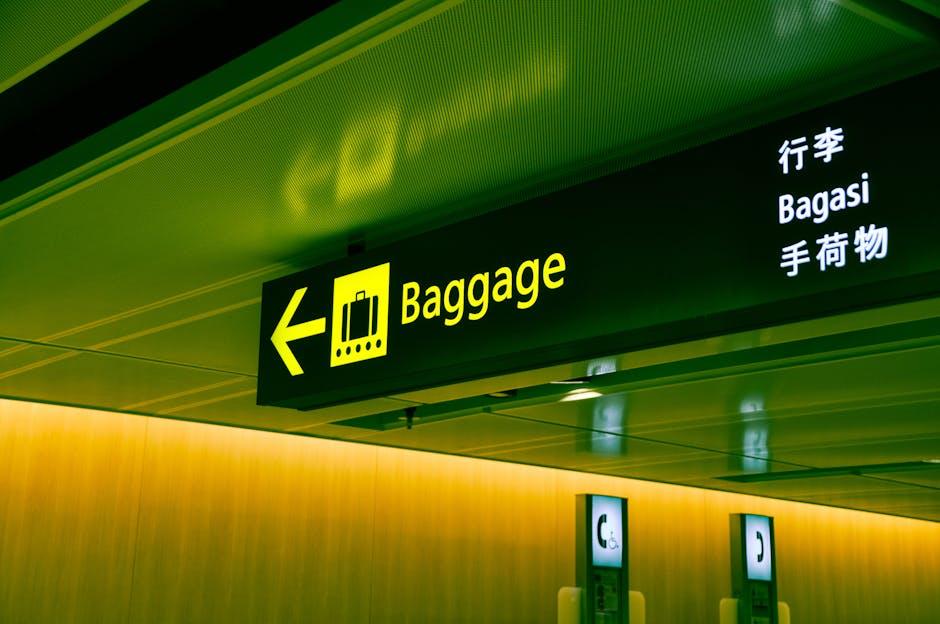 Step-by-Step Process for Filing a Delayed or Lost Baggage Claim