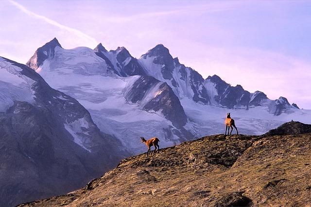 Expert Tips for Choosing the Right Policy for Your Expedition