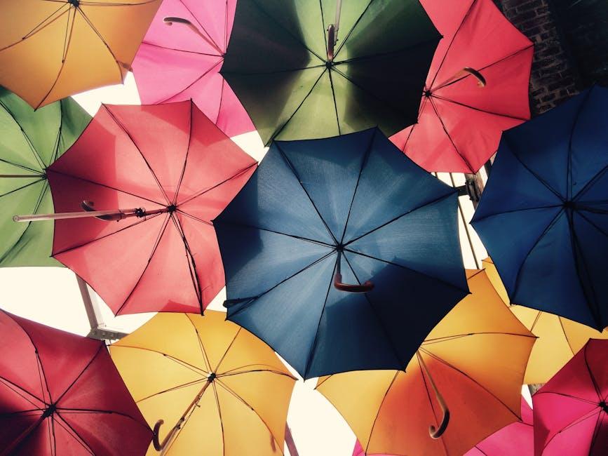 Understanding Coverage Essentials for Frequent Flyers