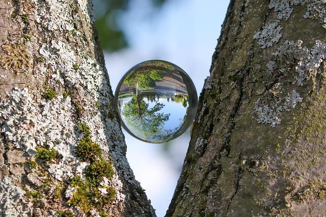 Harnessing Data-Driven ⁤Insights for ⁣Adaptability