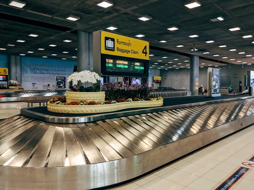 Understanding Compensation Policies for Lost Luggage