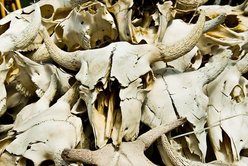 Navigating Accelerated Death Benefits for Critical Illness