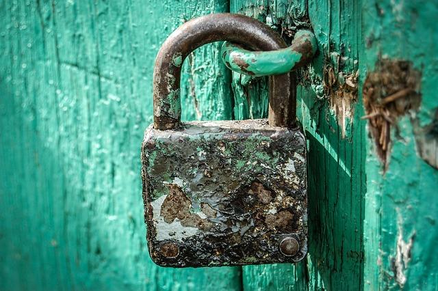Protect and Save: How Security Features Influence Insurance Rates