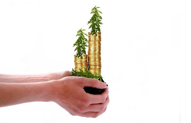 Exploring the Cash Value Component and Its Uses