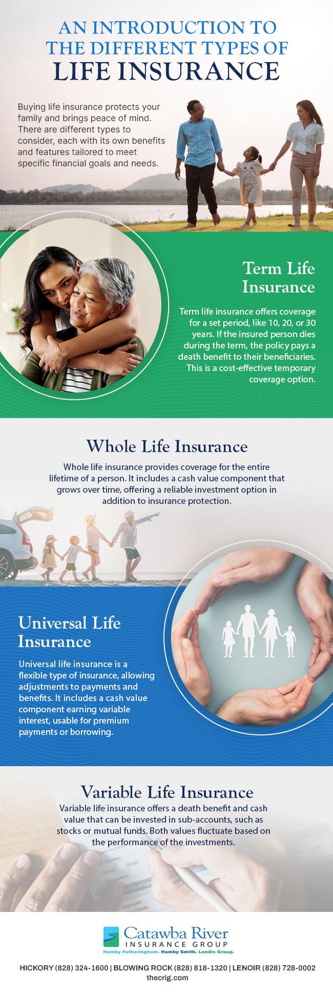 Expert Recommendations for Tailored Life Insurance Options