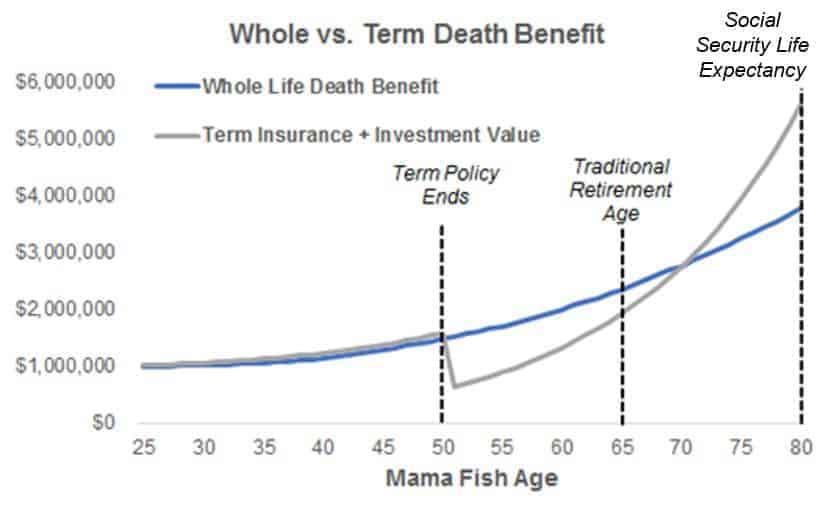 Understanding Whole Life Insurance as an Investment