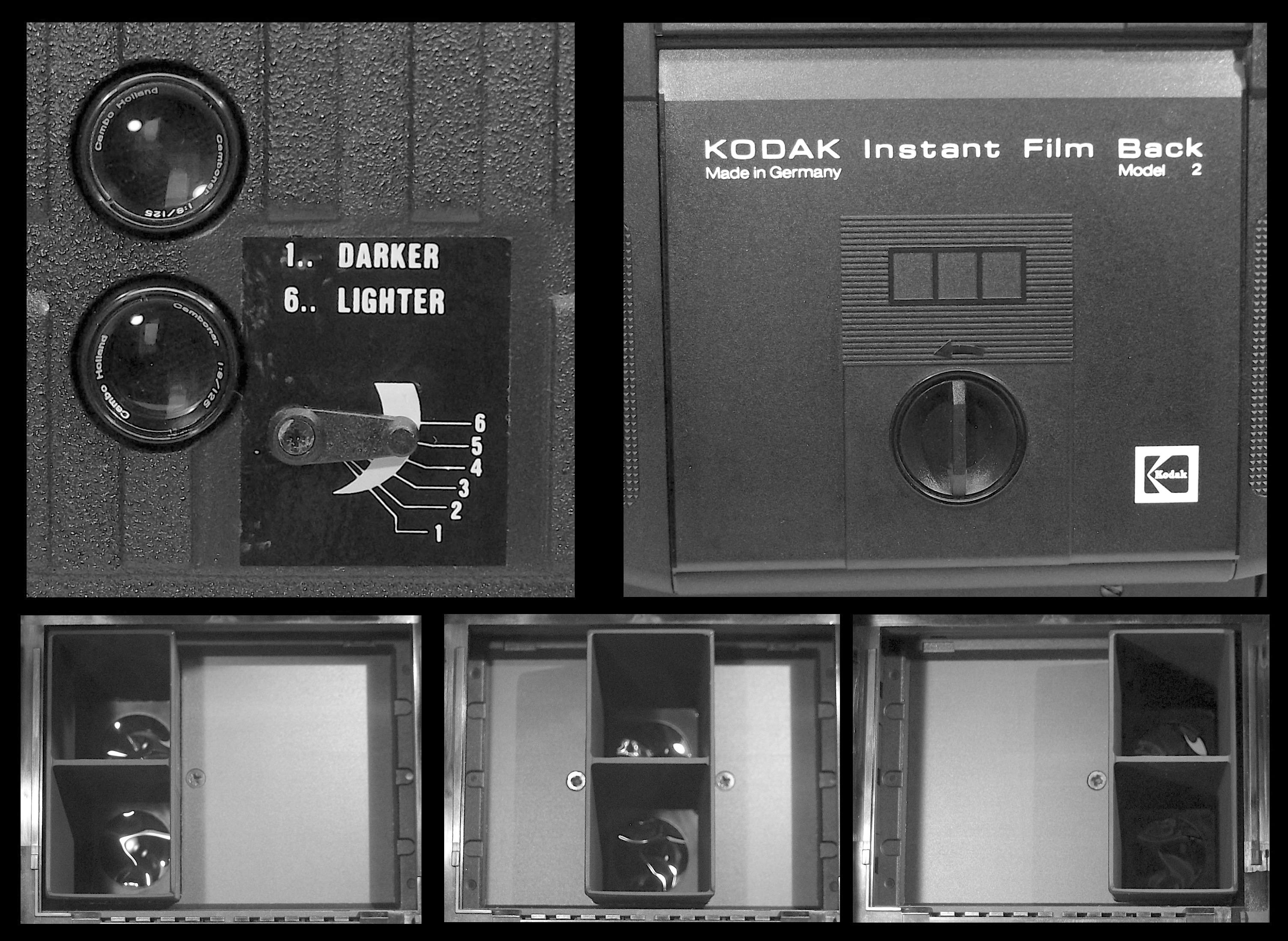 Expert Tips on Navigating Insurance Claims for Important Documents